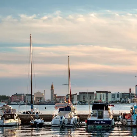 Mara Πανσιόν Murine